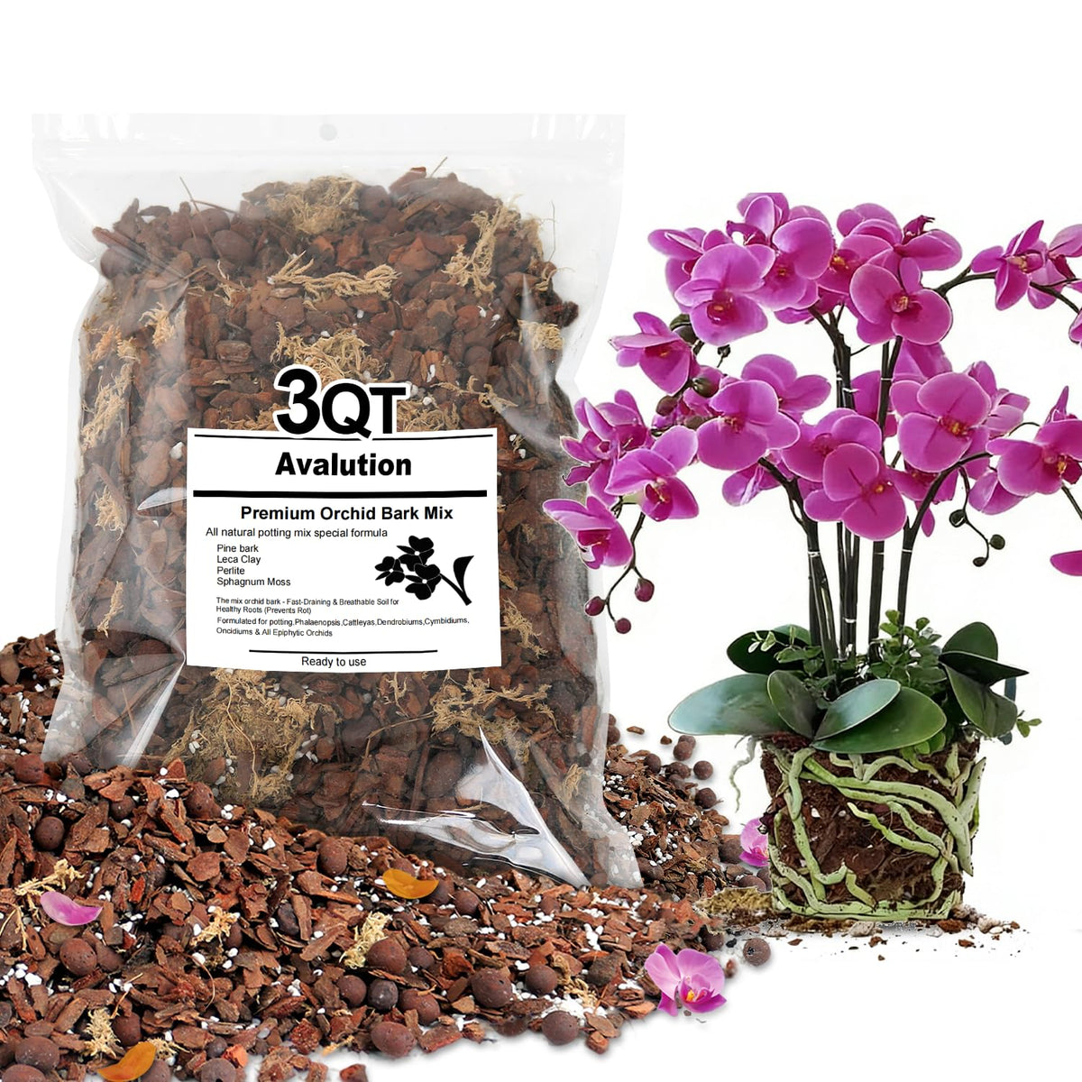 Avalution Orchid Bark Mix 3 Qt front label showcases premium orchid soil for epiphytic roots