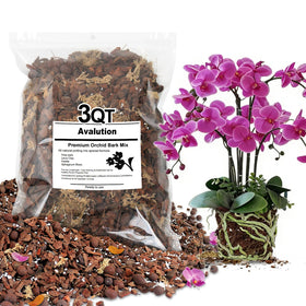 Avalution Orchid Bark Mix 3 Qt front label showcases premium orchid soil for epiphytic roots
