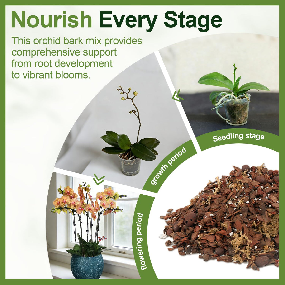 Avalution Orchid Bark Mix 3 Qt moisture-airflow balance for even watering
