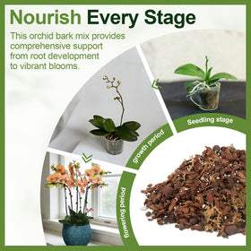 Avalution Orchid Bark Mix 3 Qt moisture-airflow balance for even watering