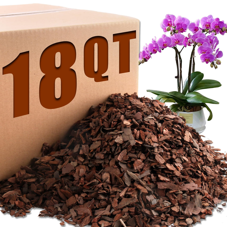 Avalution Orchid Bark packaging shows premium pine bark for healthy root support.