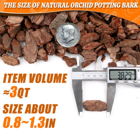 Avalution Orchid Bark pH-neutral and pre-sterilized for a clean growing medium.