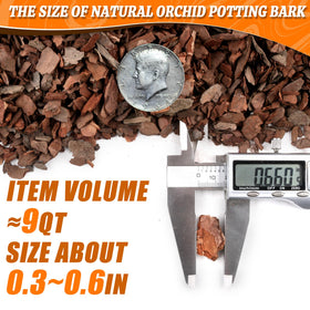 Avalution Orchid Bark is pH neutral and sterilized for a clean growing medium.