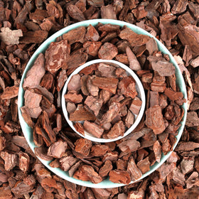 Avalution Orchid Bark root stability enhances robust orchid roots for healthier growth.