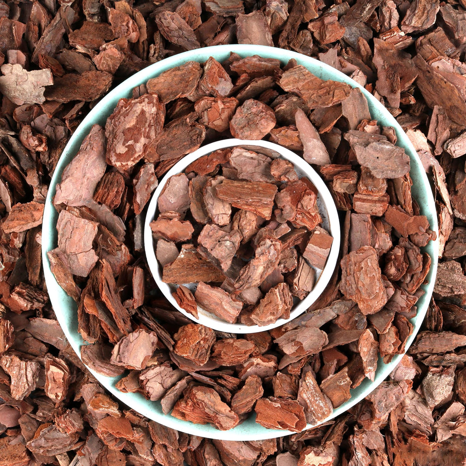 Avalution Orchid Bark root stability enhances robust orchid roots for healthier growth.