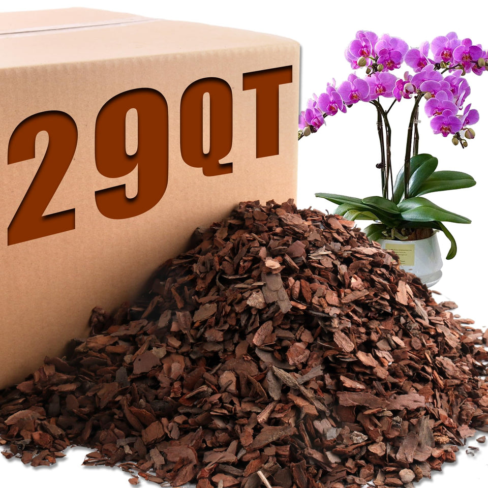 Avalution Orchid Bark supports root stability for robust orchid growth.
