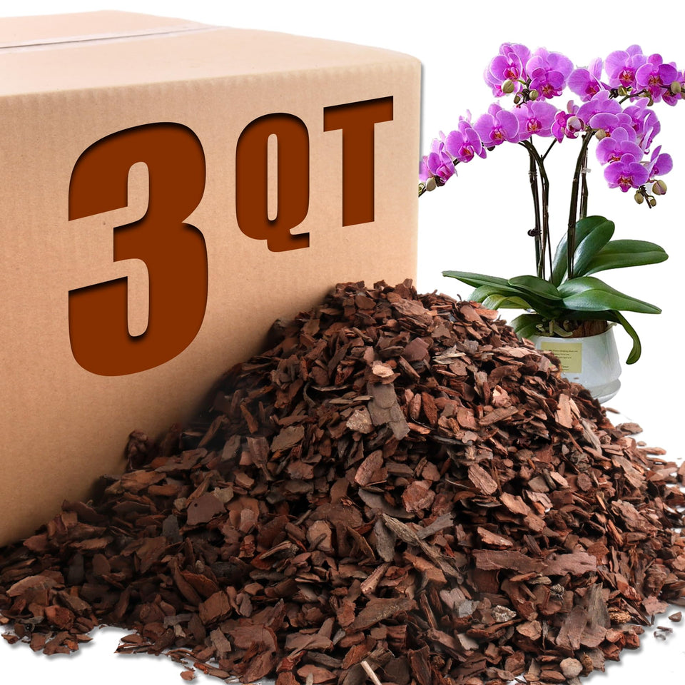 Avalution Orchid Bark root stability enhances healthy orchid growth.