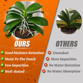 Avalution Orchid Bark sterilized label confirms clean growing medium.