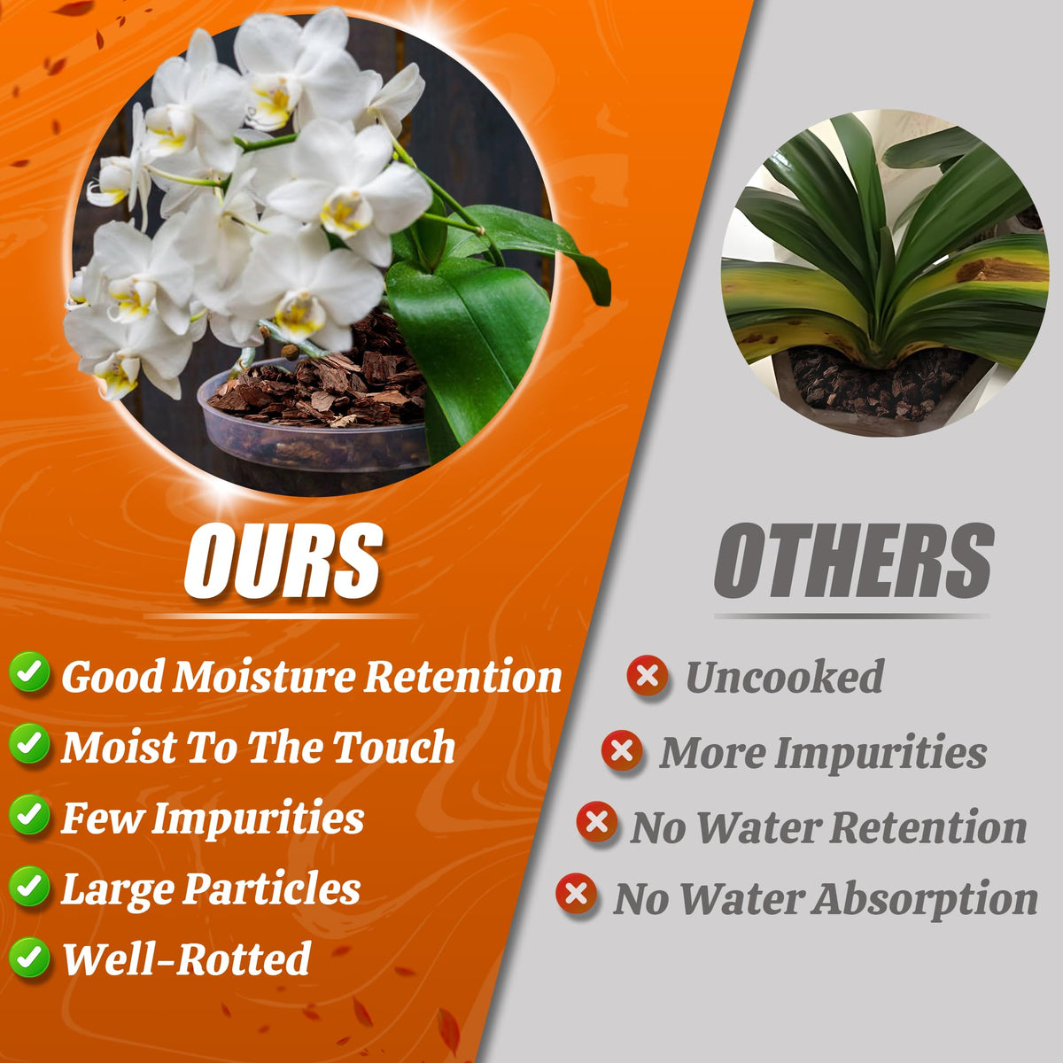 Avalution Orchid Bark sterilized medium supports a clean, safe orchid setup.