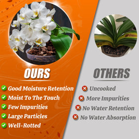 Avalution Orchid Bark sterilized medium supports a clean, safe orchid setup.