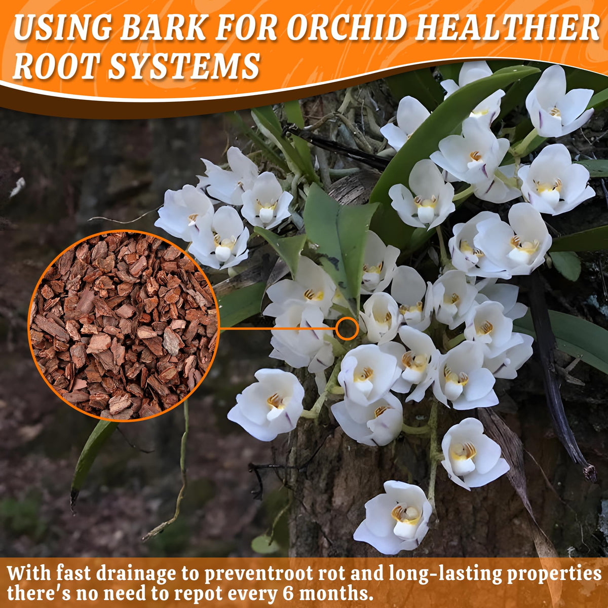 Avalution Orchid Bark water retention balances moisture for orchids and other houseplants.