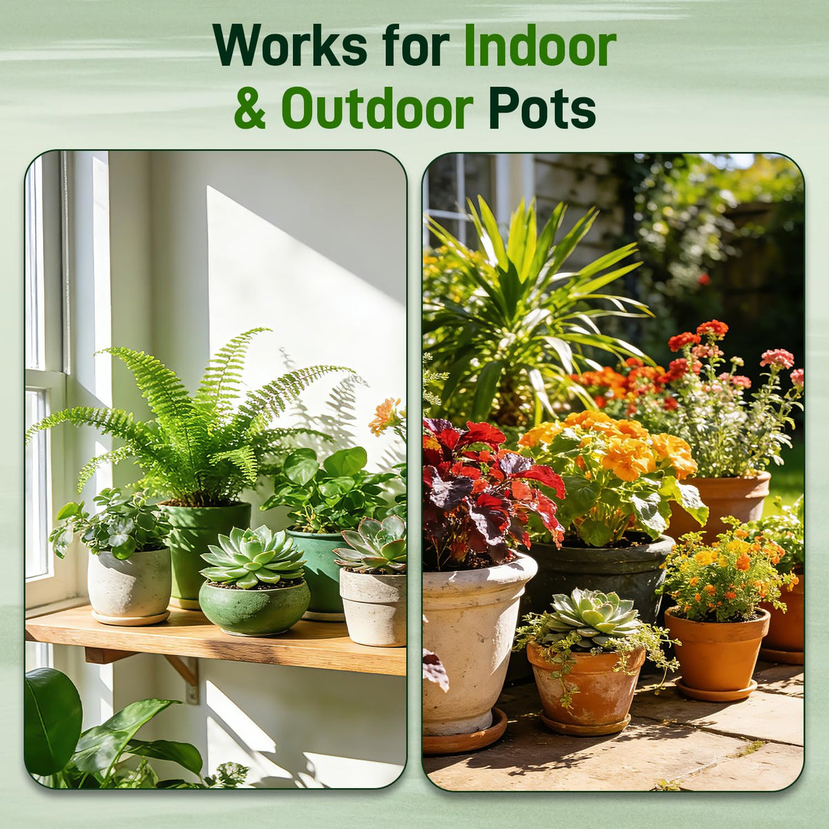 Avalution soil mix components visual lists coconut coir peat perlite and rice hull