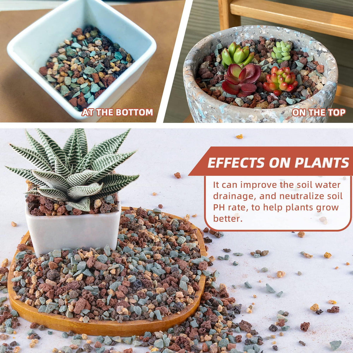 Avalution professional-grade gritty mix supports healthy plant growth.