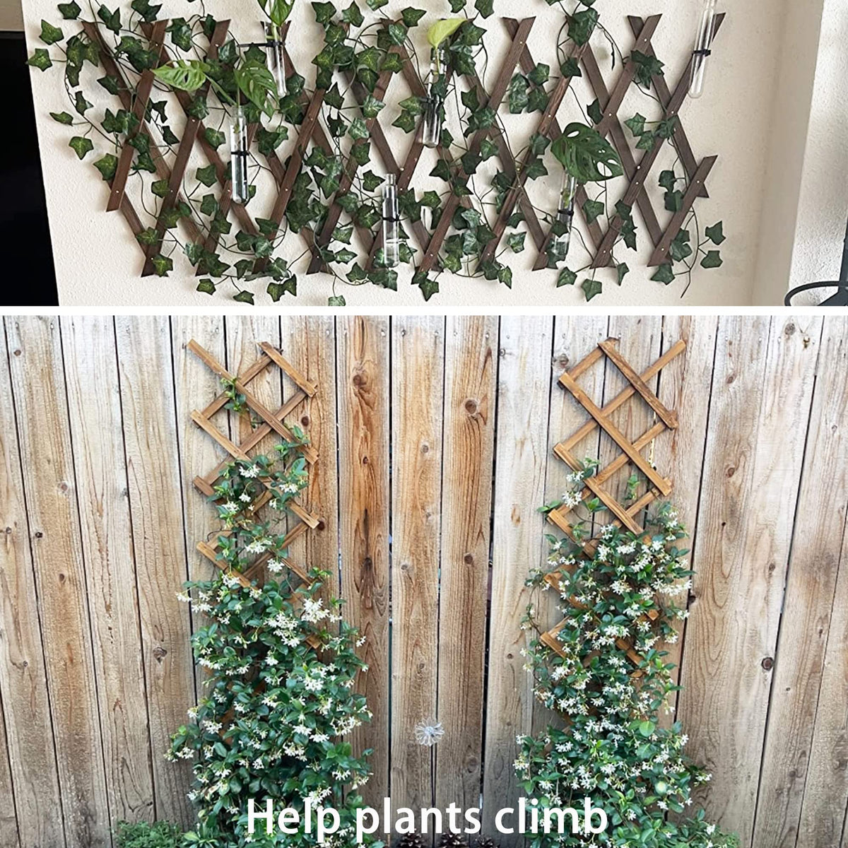 Avalution retractable lattice frame lets you rearrange trellis.