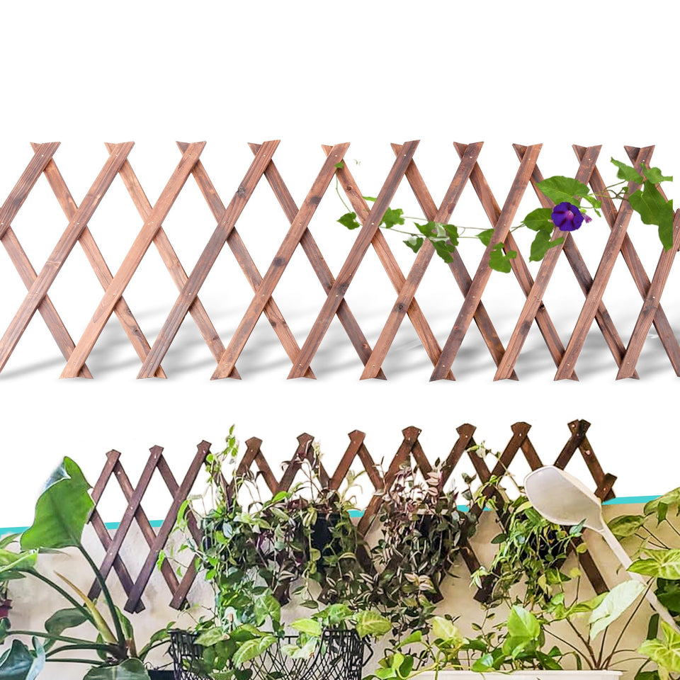 Avalution retractable wooden lattice panel outdoors supports climbing vines