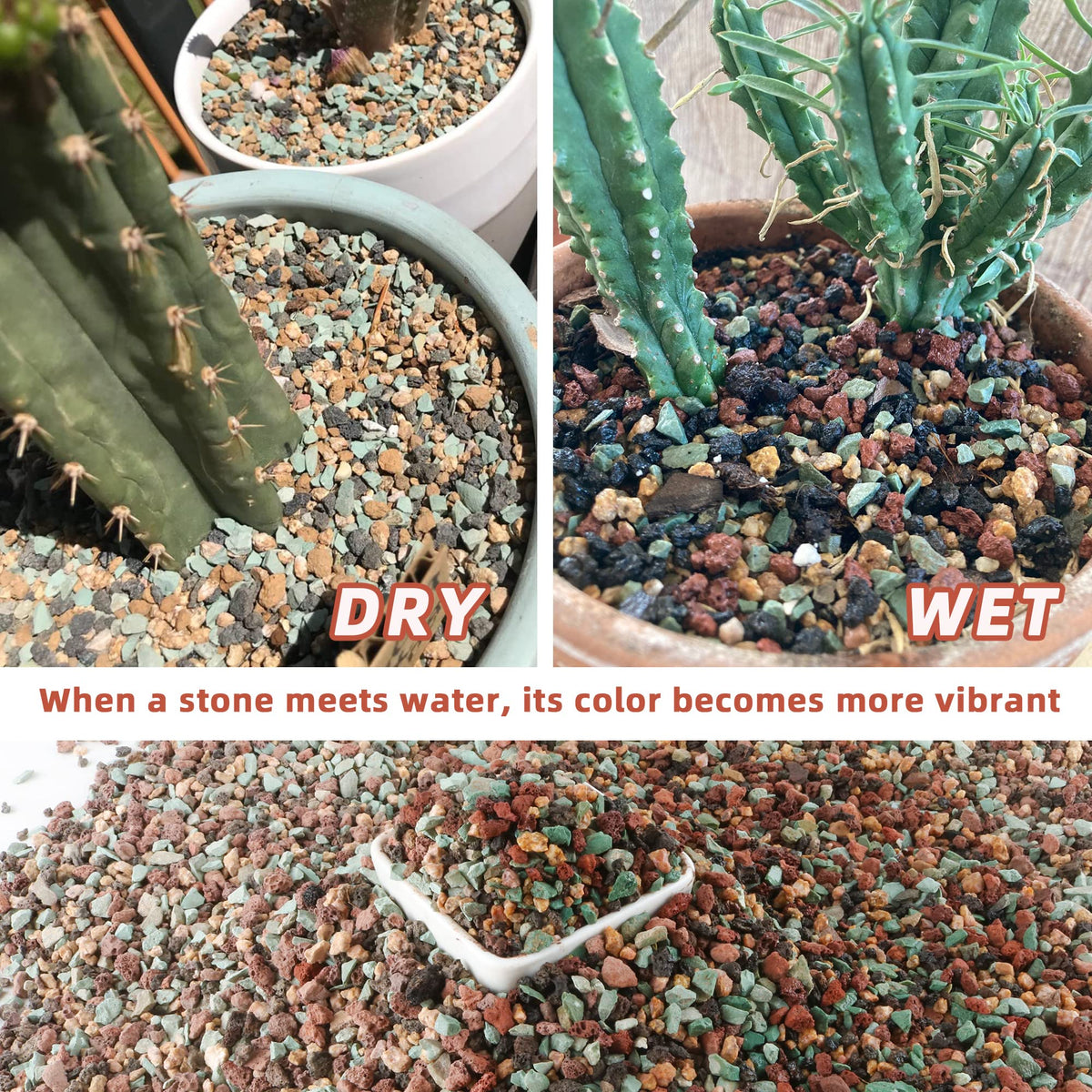 Avalution terrarium DIY project scene showcasing colorful grit for mini gardens