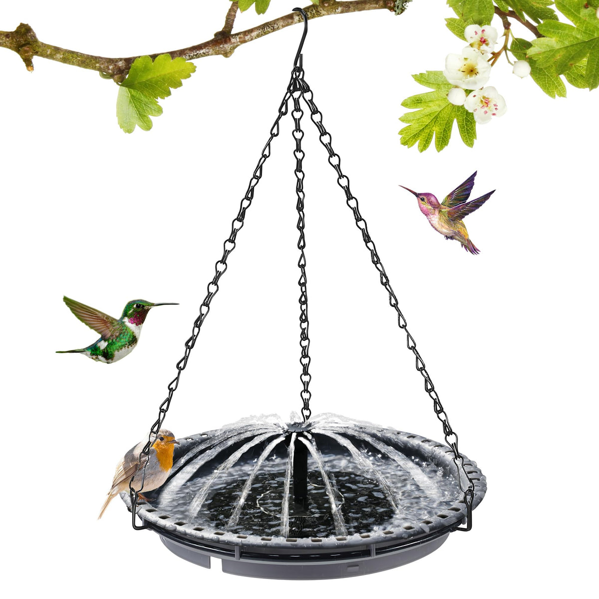 Avenuebool solar bird bath hanging in bright sun attracts hummingbirds.