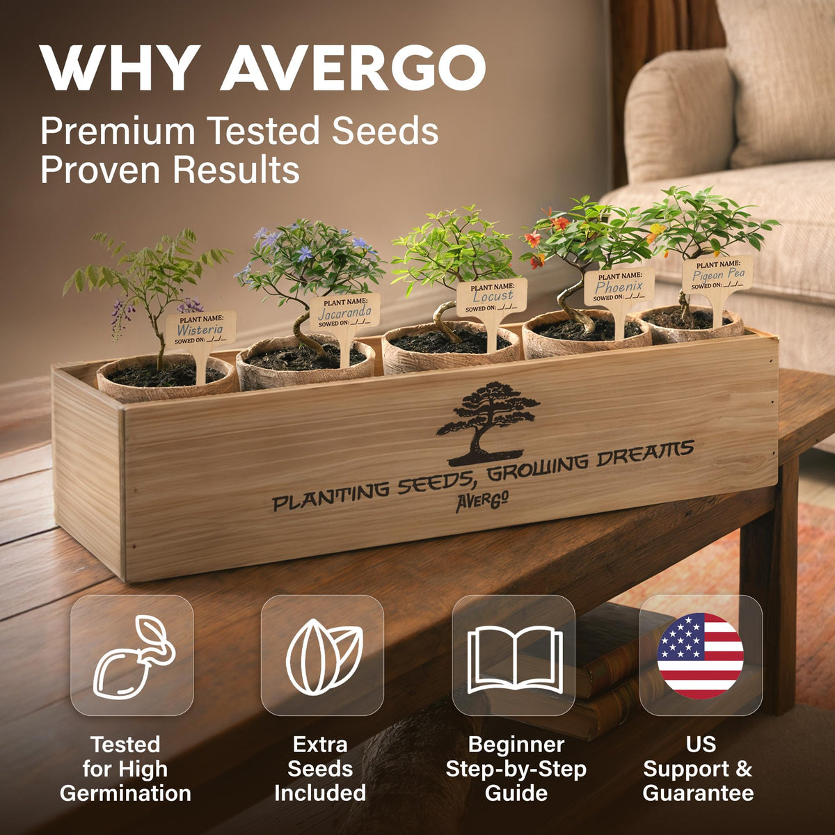 AVERGO bonsai mini trees seedling collection ready to sprout.