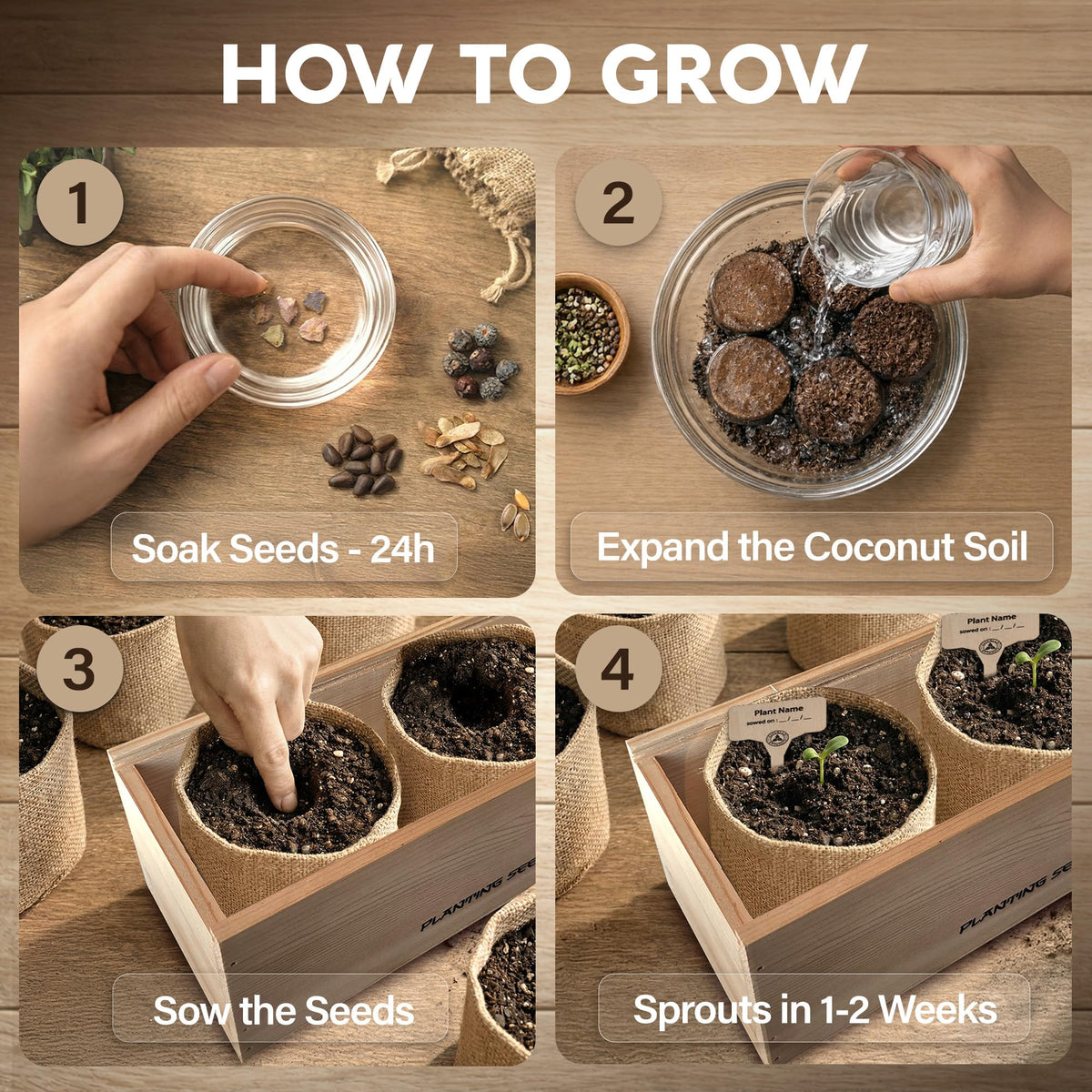AVERGO bonsai tools set offers essential gear for precise indoor pruning.