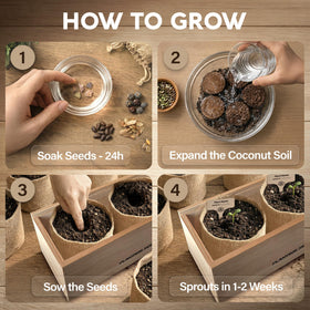 AVERGO bonsai tools set offers essential gear for precise indoor pruning.