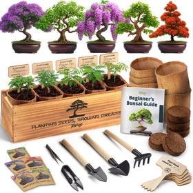 AVERGO Bonsai Tree Kit Deluxe box front, beginner-friendly starter setup for indoor gardening.