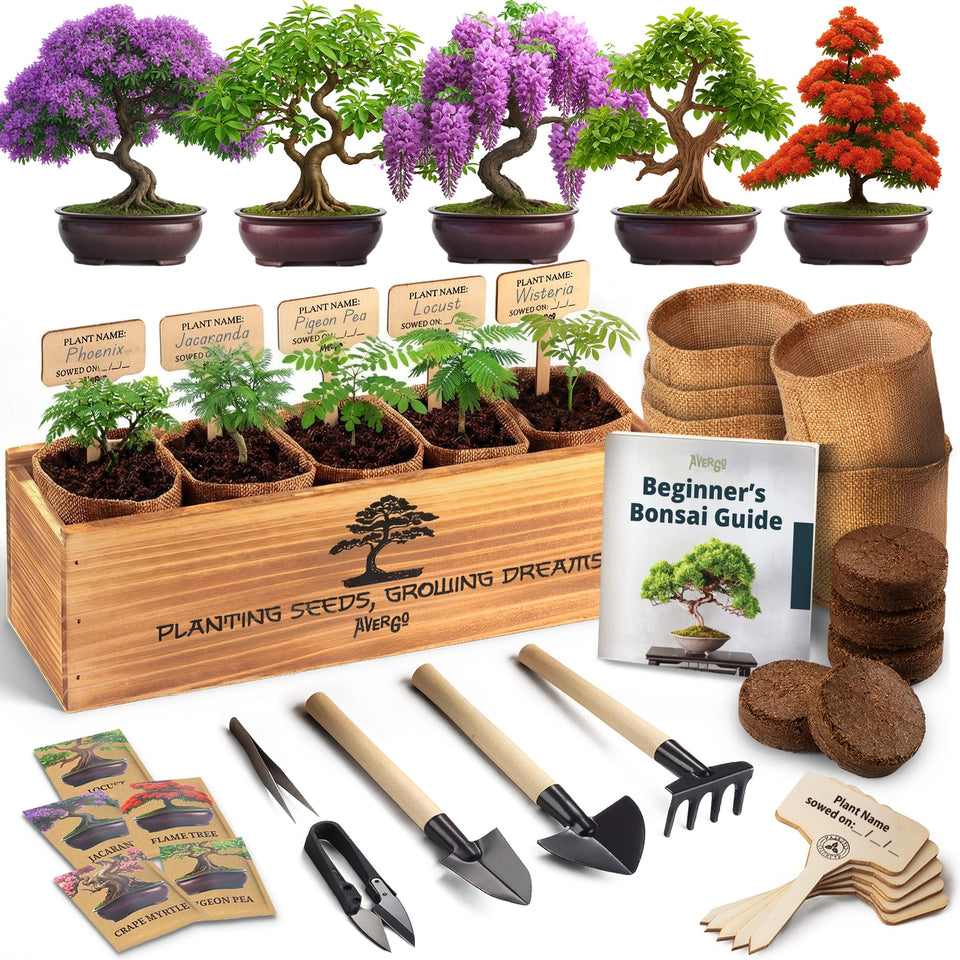 AVERGO Bonsai Tree Kit Deluxe box front, beginner-friendly starter setup for indoor gardening.