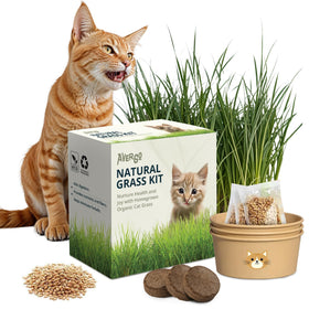 AVERGO cat grass kit packaging shows a complete indoor growing setup.