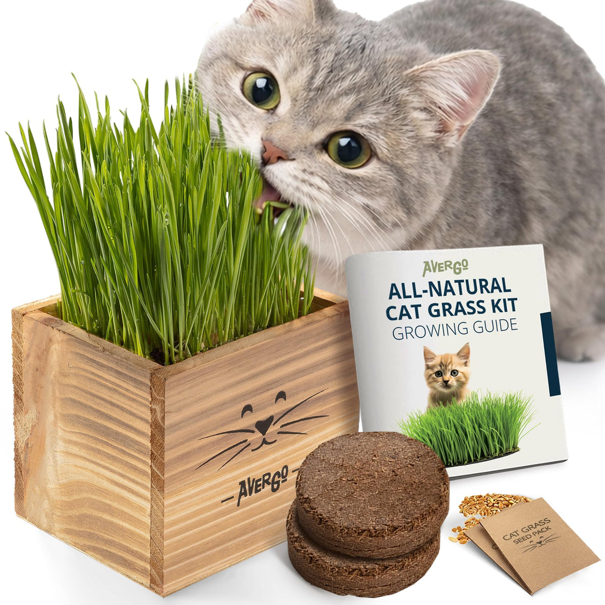 AVERGO Cat Grass Kit wooden planter with sprouts for easy indoor greens.