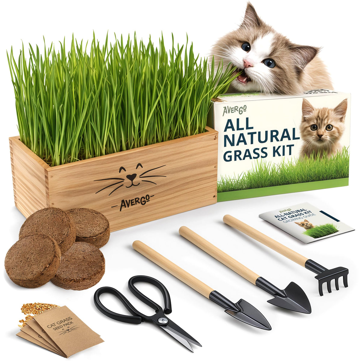 AVERGO cat grass seed pack for indoor nibbling and easy growth.