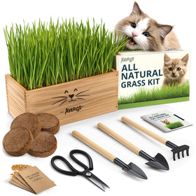 AVERGO cat grass seed pack for indoor nibbling and easy growth.