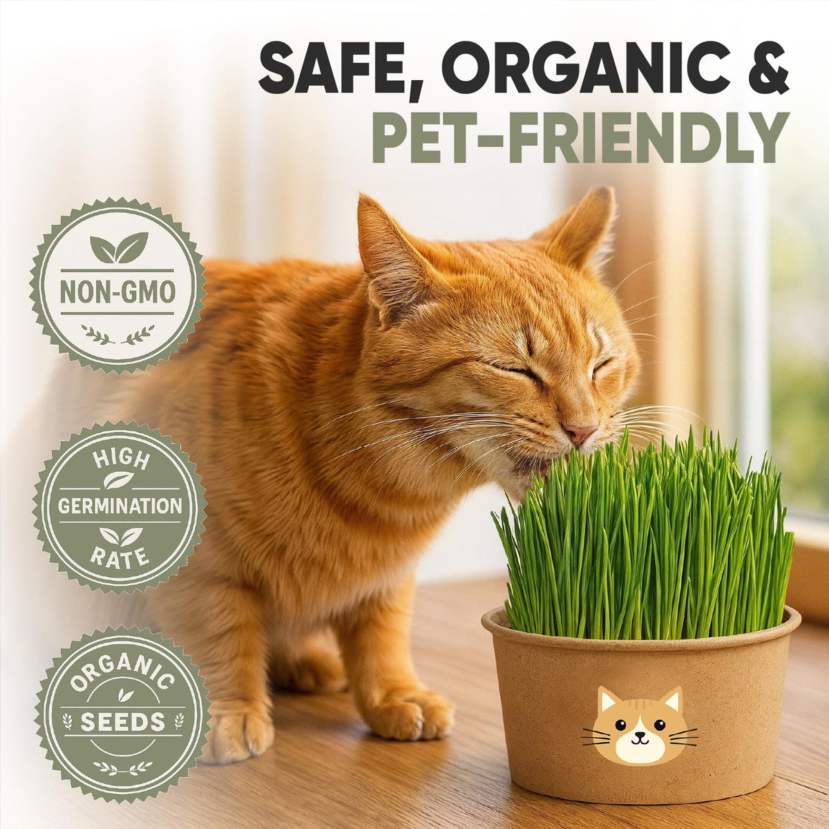 AVERGO cat grass sprouts after a few days with simple watering.