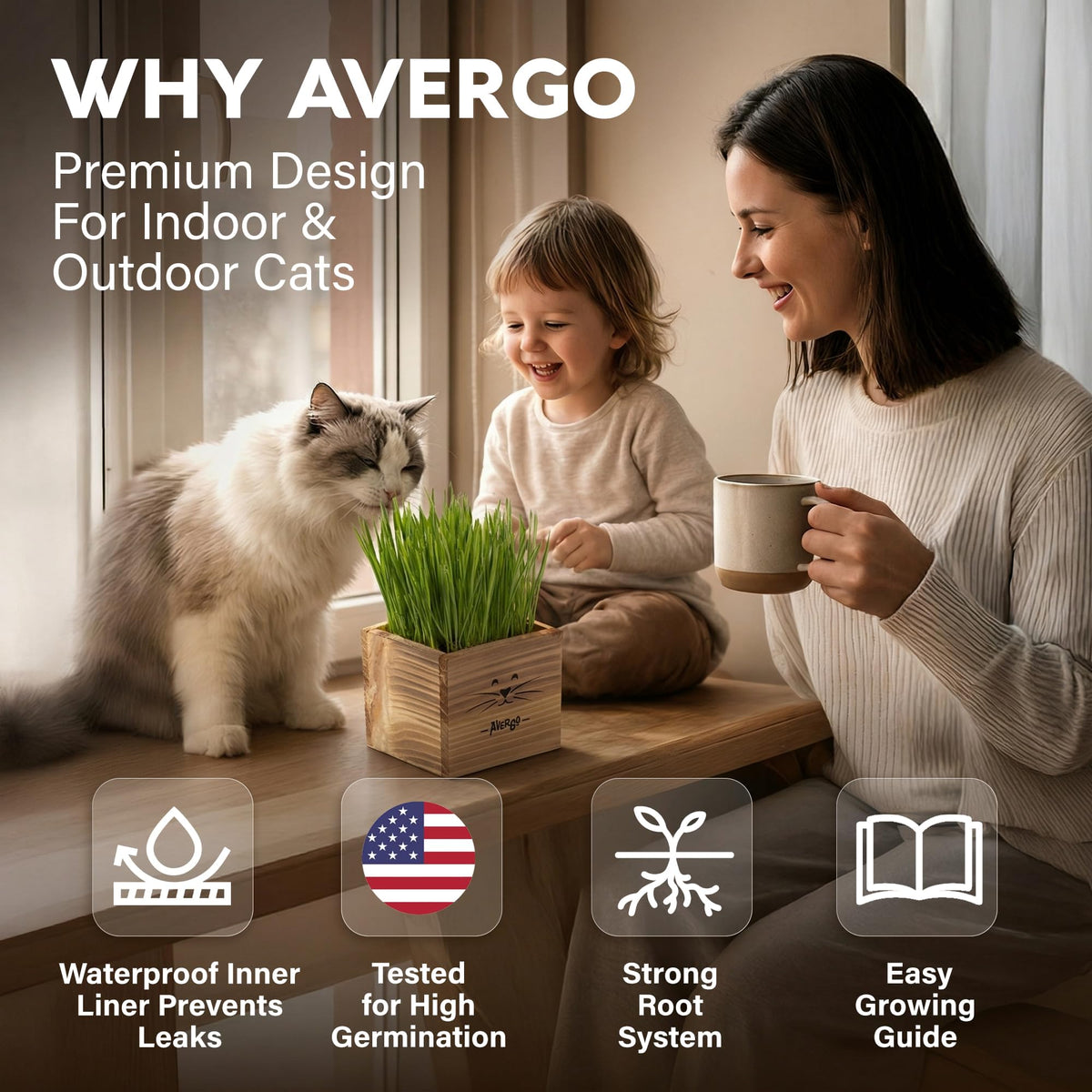 AVERGO Cat Grass Kit coconut coir soil discs for clean, mess-free planting.