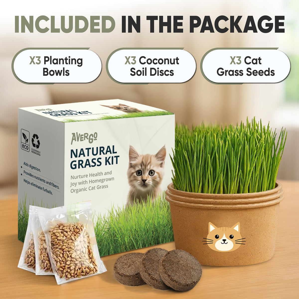 AVERGO compact planter keeps indoor cat grass tidy and clutter free.