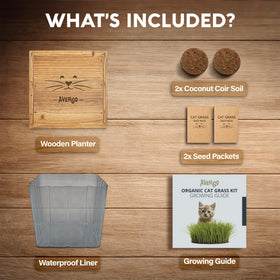 AVERGO Cat Grass Kit indoor grass growth with visible sprouts.