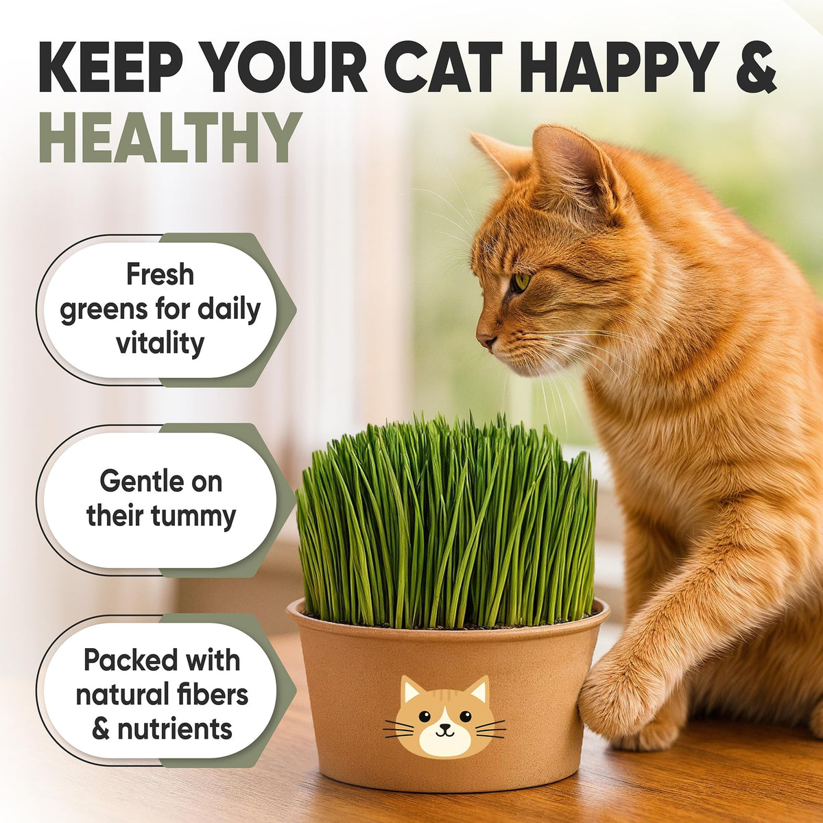 AVERGO recyclable planter keeps cat grass neatly arranged on a sunlit windowsill.