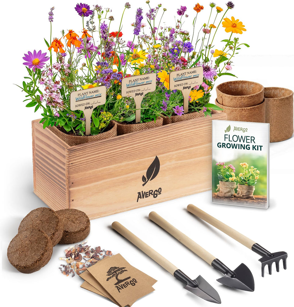 AVERGO Wildflower Seed Mix Kit packaging shows an all-in-one indoor garden starter.