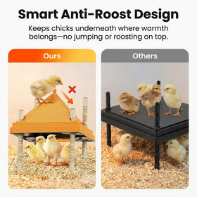 AvianHarvst chick brooder plate angle tilt creates a gradual heat gradient for mixed sizes.
