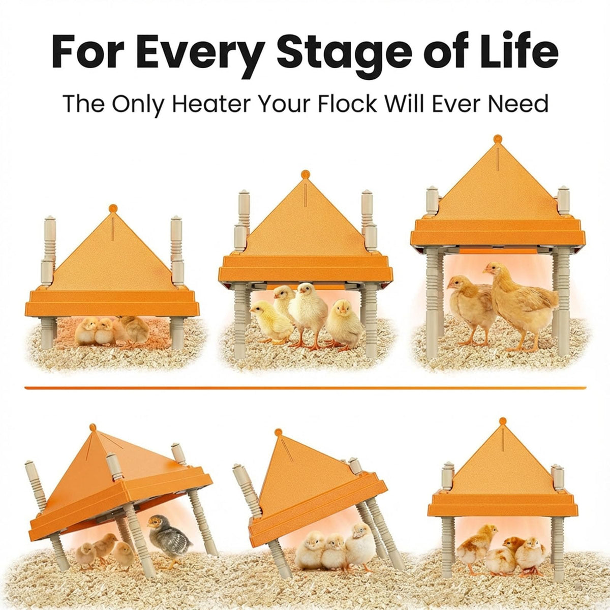 AvianHarvst chick brooder plate height-adjustable legs allow growth without repositioning heat source.