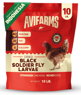 Avifarms dried black soldier fly larvae in a 10lb bag, calcium-rich poultry treat for chickens.