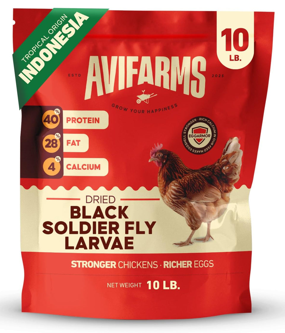 Avifarms dried black soldier fly larvae in a 10lb bag, calcium-rich poultry treat for chickens.