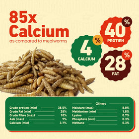 Non-GMO label on Avifarms larvae bag, indicating natural chicken food for birds.