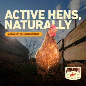 Packaged Avifarms larvae, a clean, protein-packed treat for backyard poultry and reptiles.