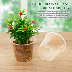 avoidsun clear nursery pot 4 inch ideal for stage transitions and healthy root air circulation
