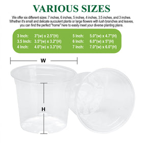 avoidsun clear nursery pot 5 inch supports bigger seedlings with visible growth and moisture checks