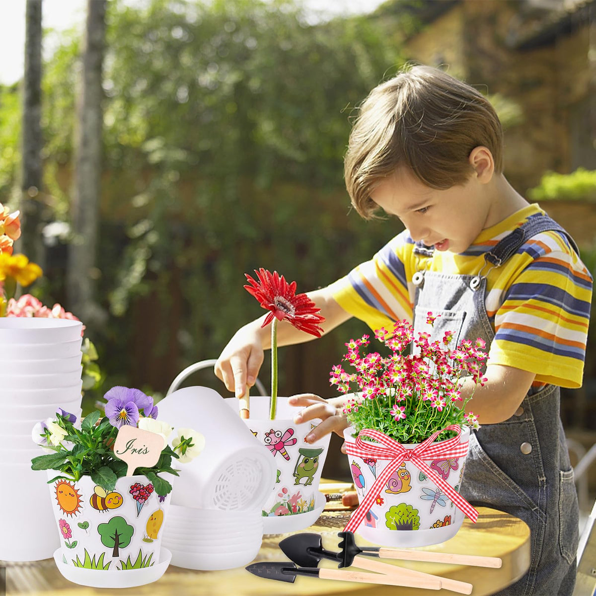 Aweyka pot size and dimensions help plan seedling spacing