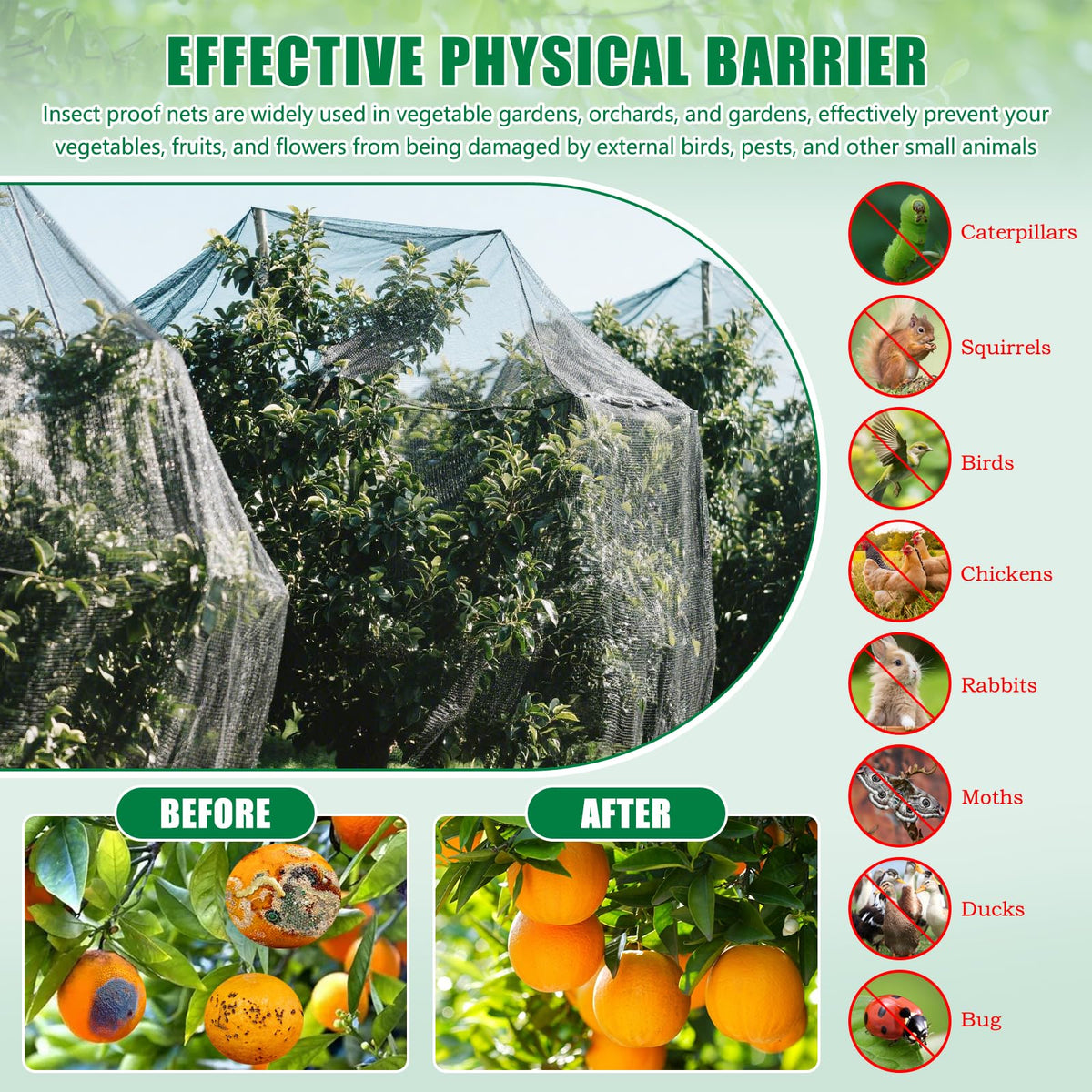 Axcoix protective barrier net guarding berries and tomatoes from pests
