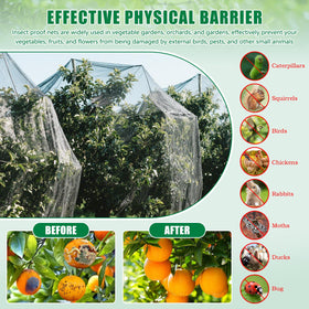 Axcoix protective barrier net guarding berries and tomatoes from pests