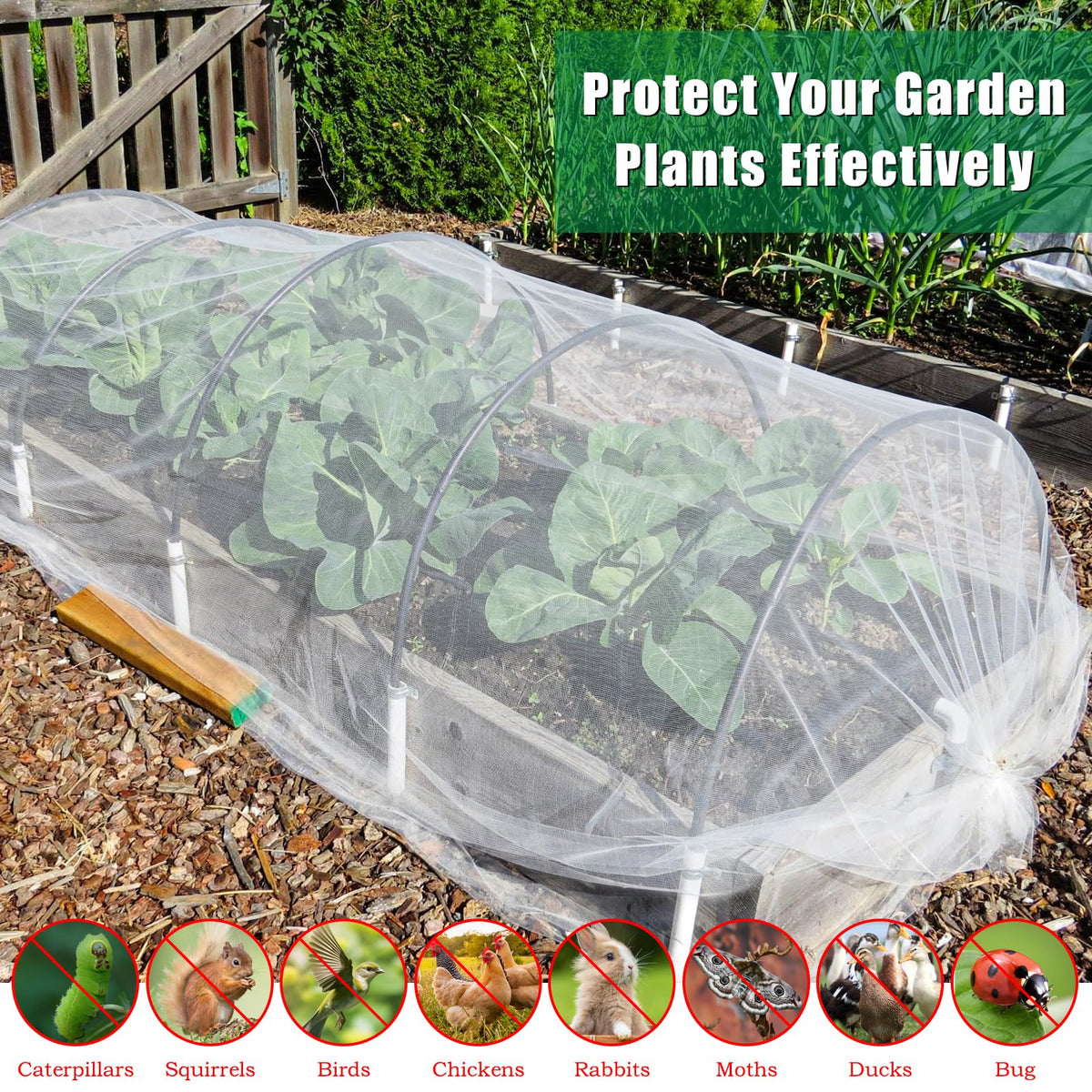 Axcoix strawberry netting cover lets sun through while deterring pests.
