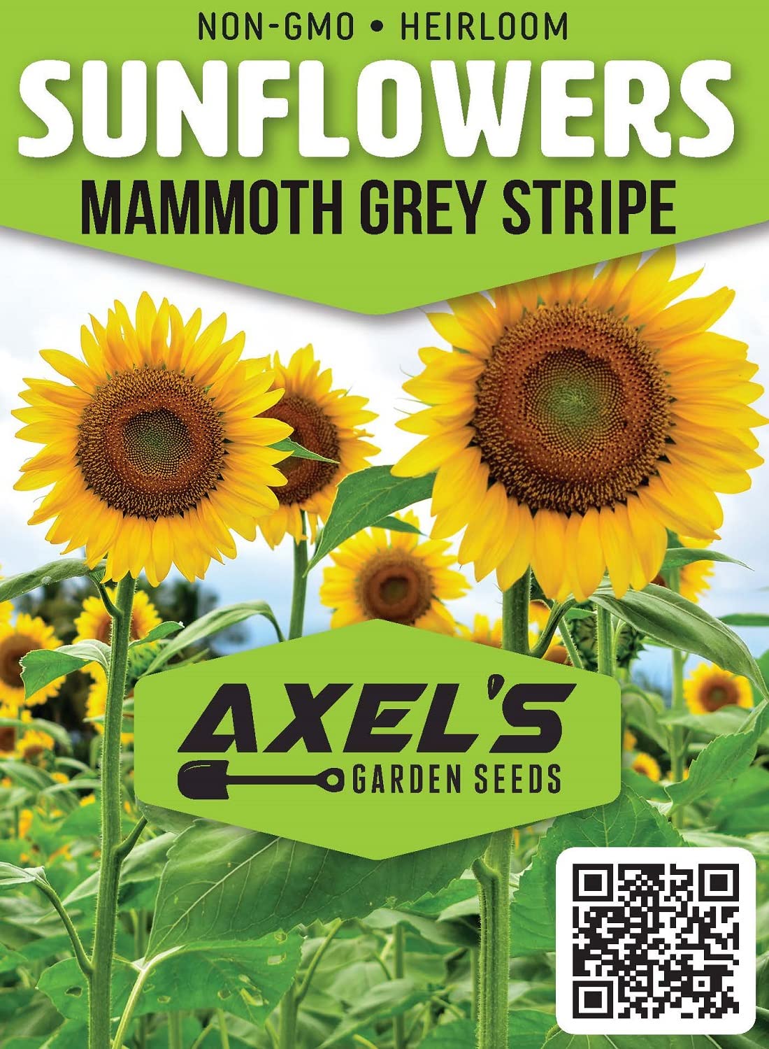 Axel's Garden Seeds Mammoth sunflower packet back with simple cultivation tips.