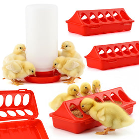 Axrivonte Chick Waterer low spill keeps drinking water accessible for chicks